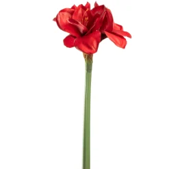 Amaryllis 55cm rot AUTENTICO