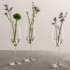 Champagnerglas BRUNELLI 340 ml 6er-Set