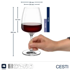 Glasset CESTI 8-teilig + Poliertuch