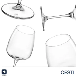 Glasset CESTI 8-teilig + Poliertuch