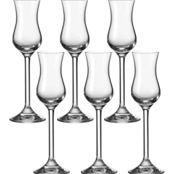 Grappaglas DAILY 100 ml 6er-Set