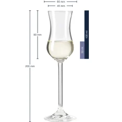 Grappaglas DAILY 100 ml 6er-Set