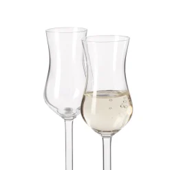 Grappaglas DAILY 100 ml 6er-Set