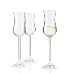 Grappaglas DAILY 100 ml 6er-Set