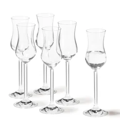 Grappaglas DAILY 100 ml 6er-Set