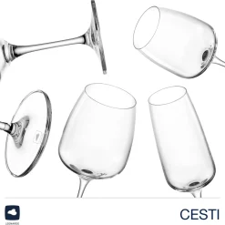 Kelchglasset CESTI 12-teilig + Poliertuch