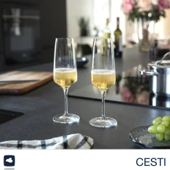 Kelchglasset CESTI 12-teilig + Poliertuch