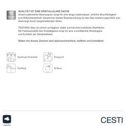 Kelchglasset CESTI 12-teilig + Poliertuch