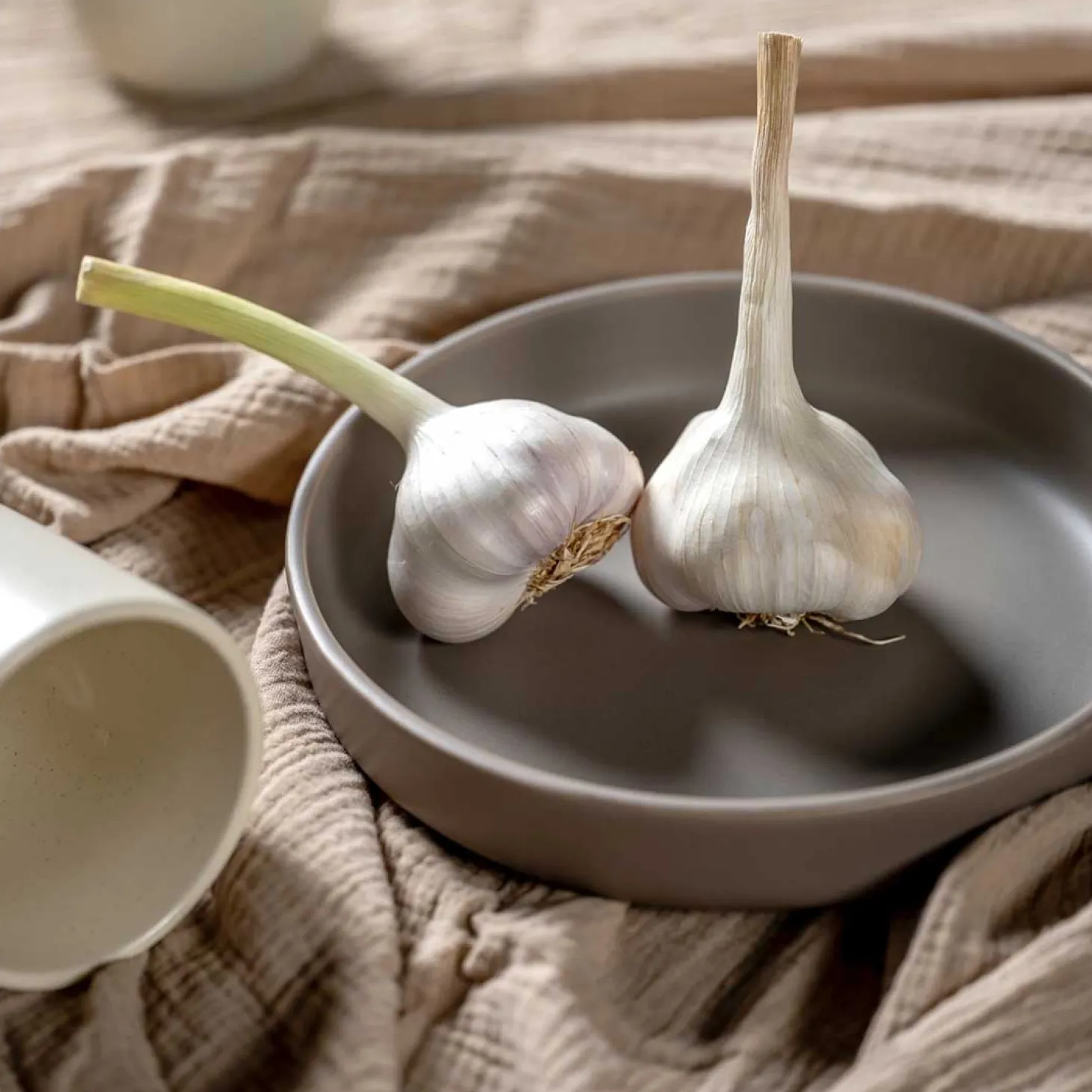 Keramikteller ROMA 20 cm taupe tief 6er-Set