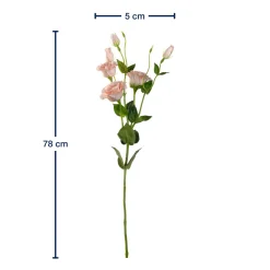 Lysianthus FIORE 78 cm apricot