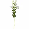 Lysianthus FIORE 78 cm weiß