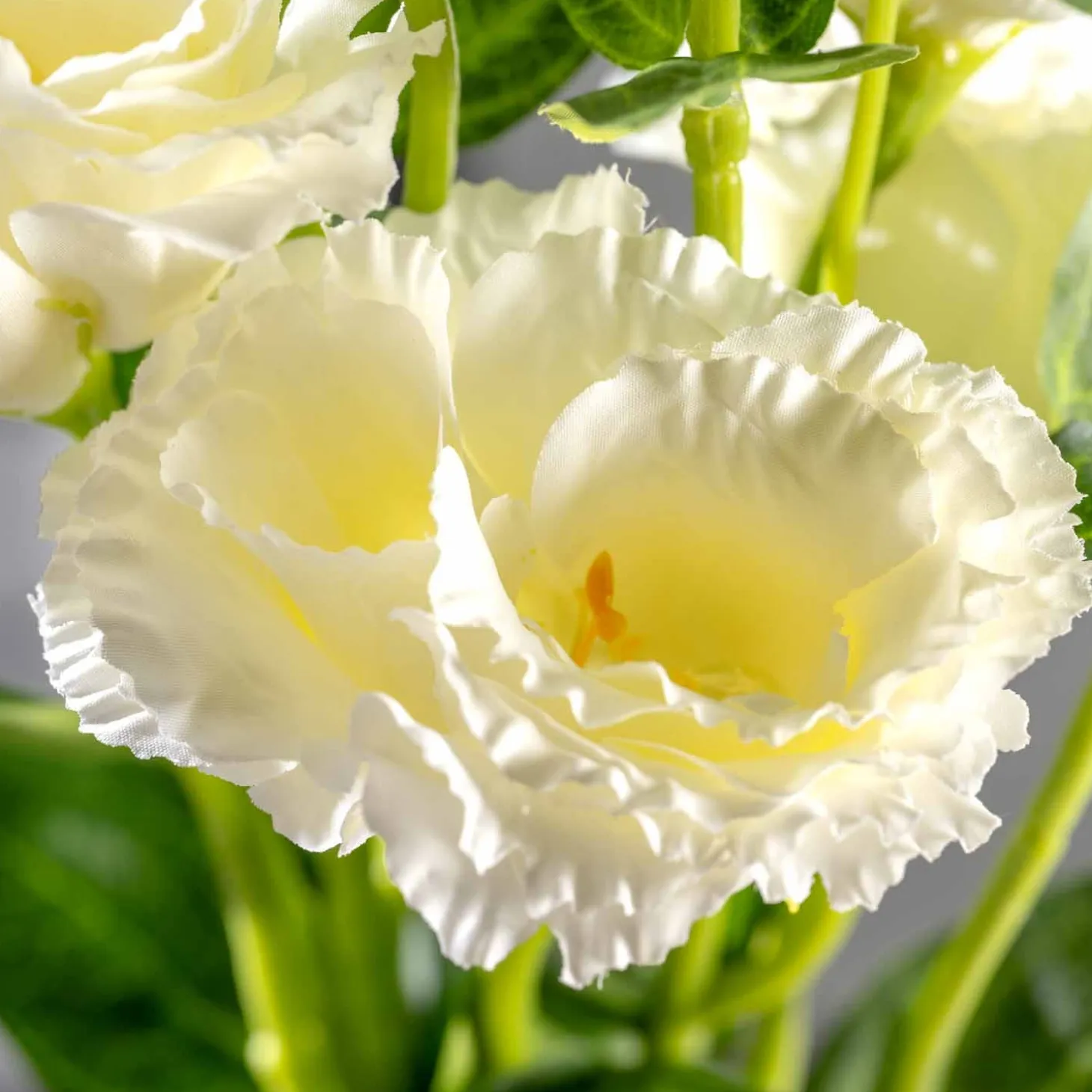 Lysianthus FIORE 78 cm weiß