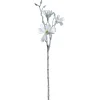 Magnolie 60cm weiß PALAZZO