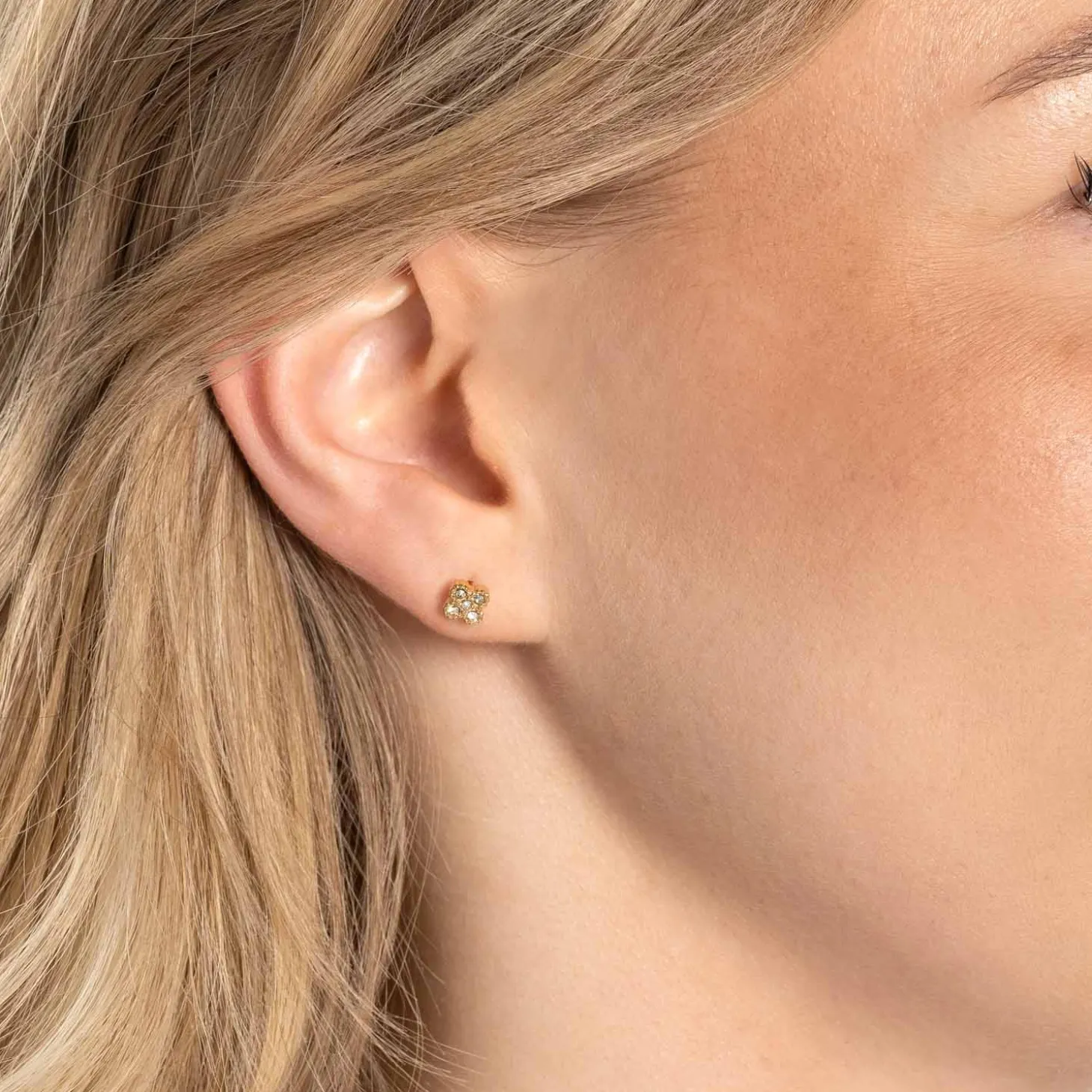 Ohrstecker LISETTE gold CIAO