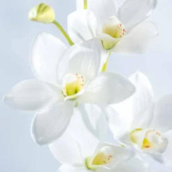 Orchidee FIORE 76 cm weiß