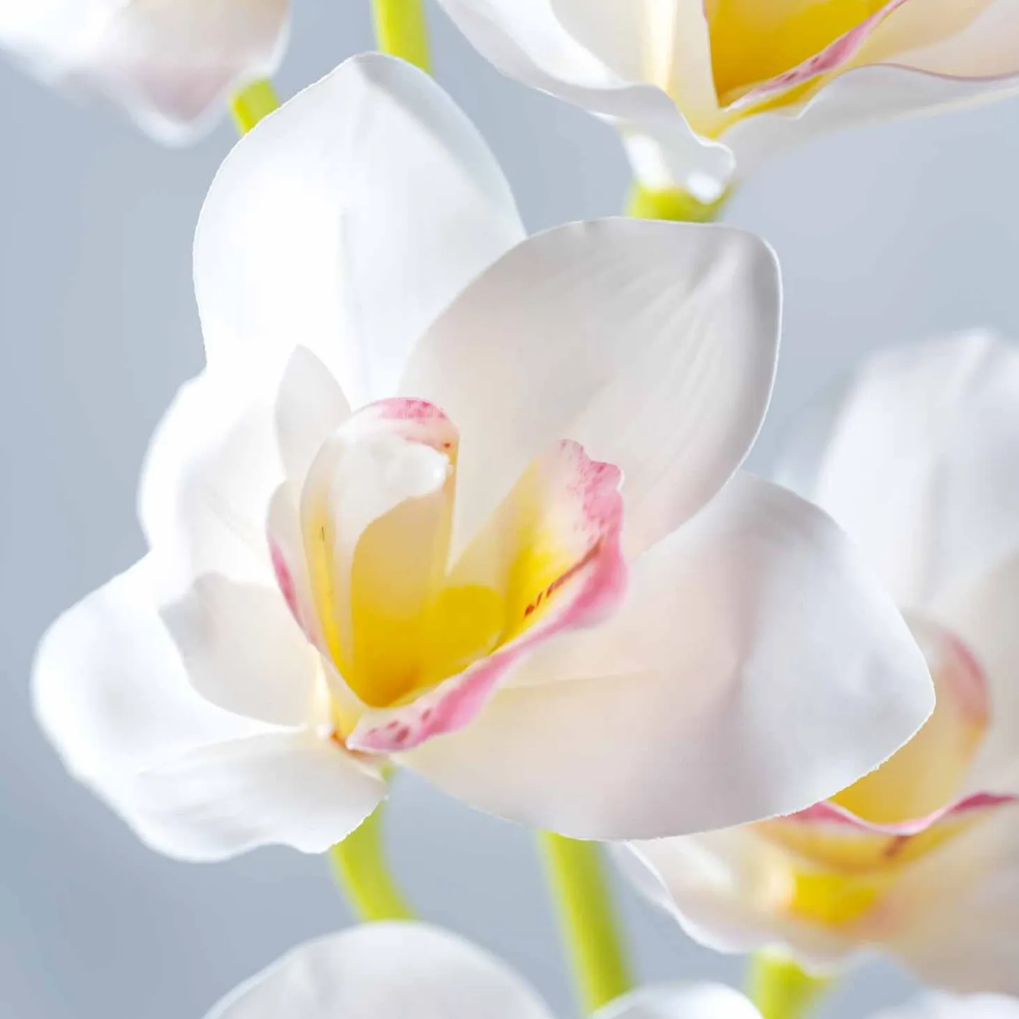 Orchidee FIORE 90 cm weiß