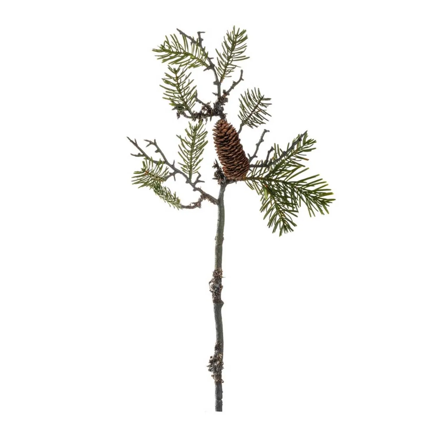 Pinienzweig 56cm AUTENTICO