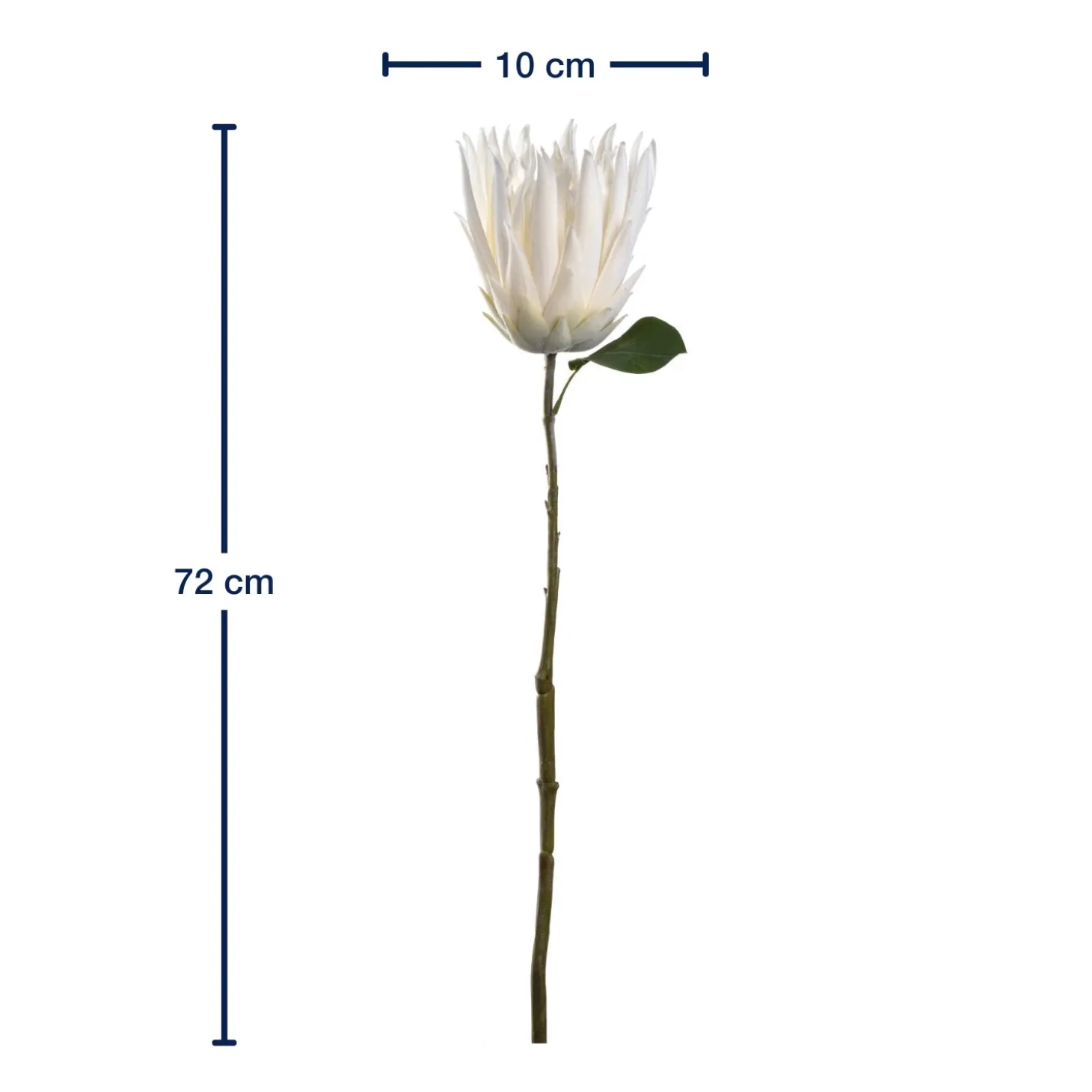 Prothea FIORE 72 cm weiß