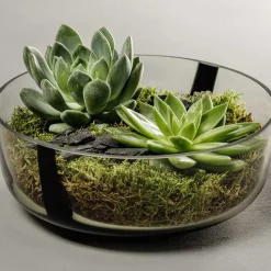 Schale ALVEO 26 cm taupe