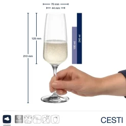 Sektglas CESTI 240 ml 6er-Set + Poliertuch