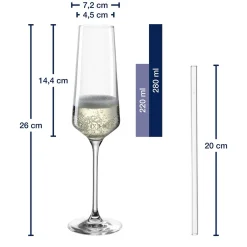 Sektglas Geschenkset PUCCINI 5-teilig 280 ml mit persönlicher Gravur