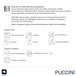 Sektglas Geschenkset PUCCINI 5-teilig 280 ml mit persönlicher Gravur