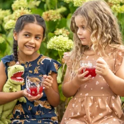 Tasse BAMBINI AVVENTURA 280 ml Dino