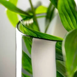 Vase BANDA NERA 40 cm