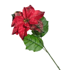 Weihnachtsstern CALDO 70 cm rot