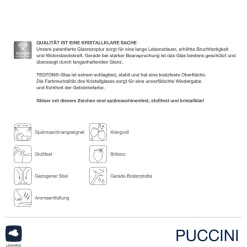 Weinglas PUCCINI 560 ml gold 2er-Set