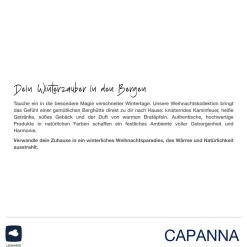 Zapfenzweig 61 cm gold CAPANNA